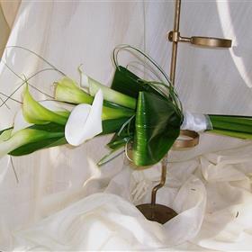 fwthumbCNV00018 (2).jpg